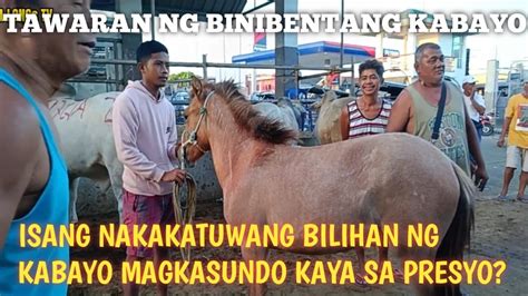 kinantot ng kabayo|Kabayo.